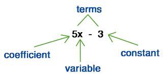 <p>A number is multiplied by a variable in an algebraic expression.</p>