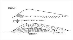 <p>A drumlin</p><p><span>Smooth elongated oval hill made of glacial sediment. Long axis parallel to glacial flow, tail points in direction of flow</span></p>