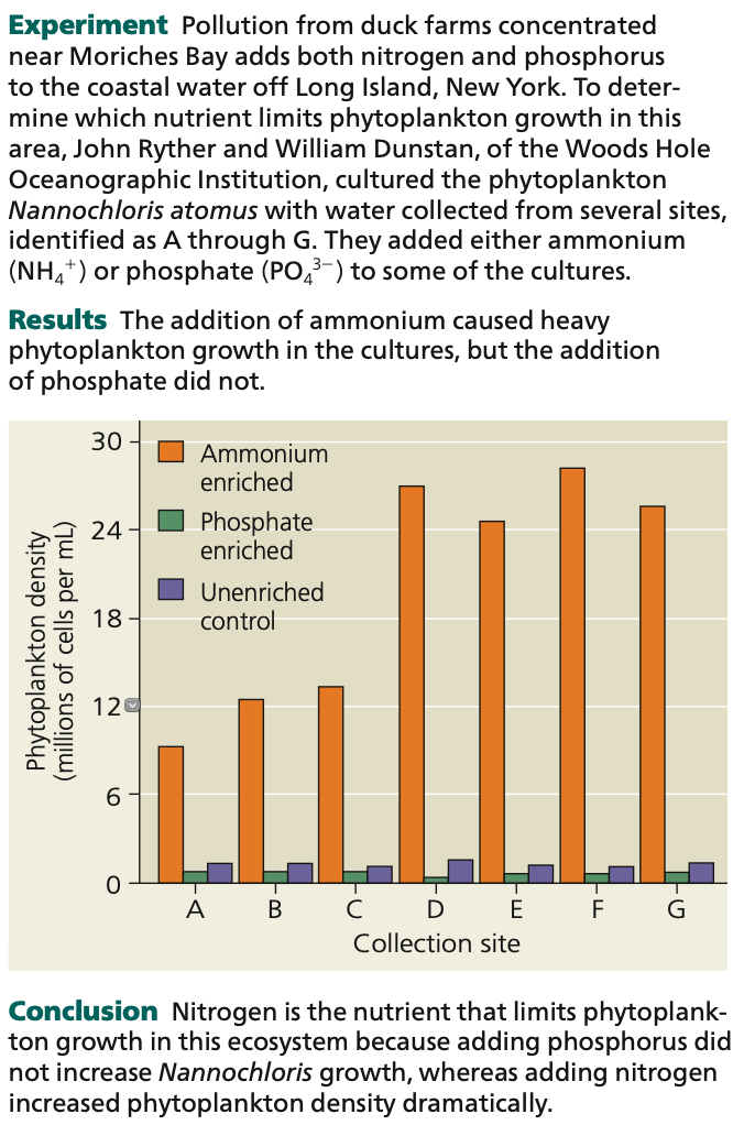 In freshwater lakes
○ sewage and fertilizer runoff from farms and lawns add nutrients
○ Usually ________ is the limiting nutrient for cyanobacterial growth
■ Overabundance leads to overgrowth, compromising water free quality
● Led to the use of phosphate-free _____