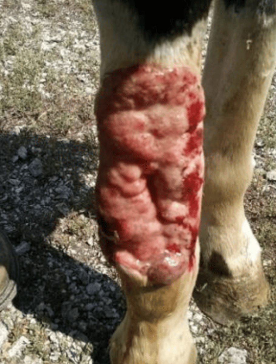 <p>What is this?</p>