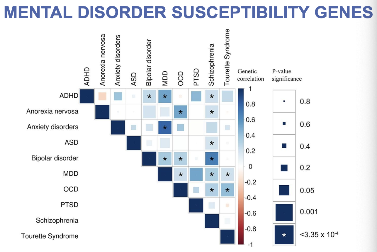 <p><u>Genetic pre-disposition to schizophrenia</u>: </p><ul><li><p>< 1% in general population</p><ul><li><p>↑ if a person has a collection of gene variants that ↑ likelihood</p></li></ul></li></ul><ul><li><p>Identical twin concordance finding - if 1 twin has schizophrenia, there is a 50% chance the other twin will have it too </p><ul><li><p>Environmental risk factors were found to be generally uninvolved</p><p></p></li></ul></li></ul><p><u>What has been driving schizophrenic genes’ survival in the human gene pool? </u></p><ul><li><p>Theories suggest that there could be some advantage to reproductive success since the disorder could make people more intelligent???</p></li><li><p>No other offsetting benefits have been discovered</p></li></ul><p></p><p><u>Schizophrenia’s genetic risk of comorbidity</u>:</p><ul><li><p>Common gene variants associated with developing schizophrenia are also associated with vulnerability to developing mood and anxiety disorders such as depression, bipolar disorder (BD), autism spectrum disorder, obsessive-compulsive disorder (OCD), attention deficit hyperactivity disorder (ADHD), anorexia nervosa (eating disorder)</p></li></ul><p></p>