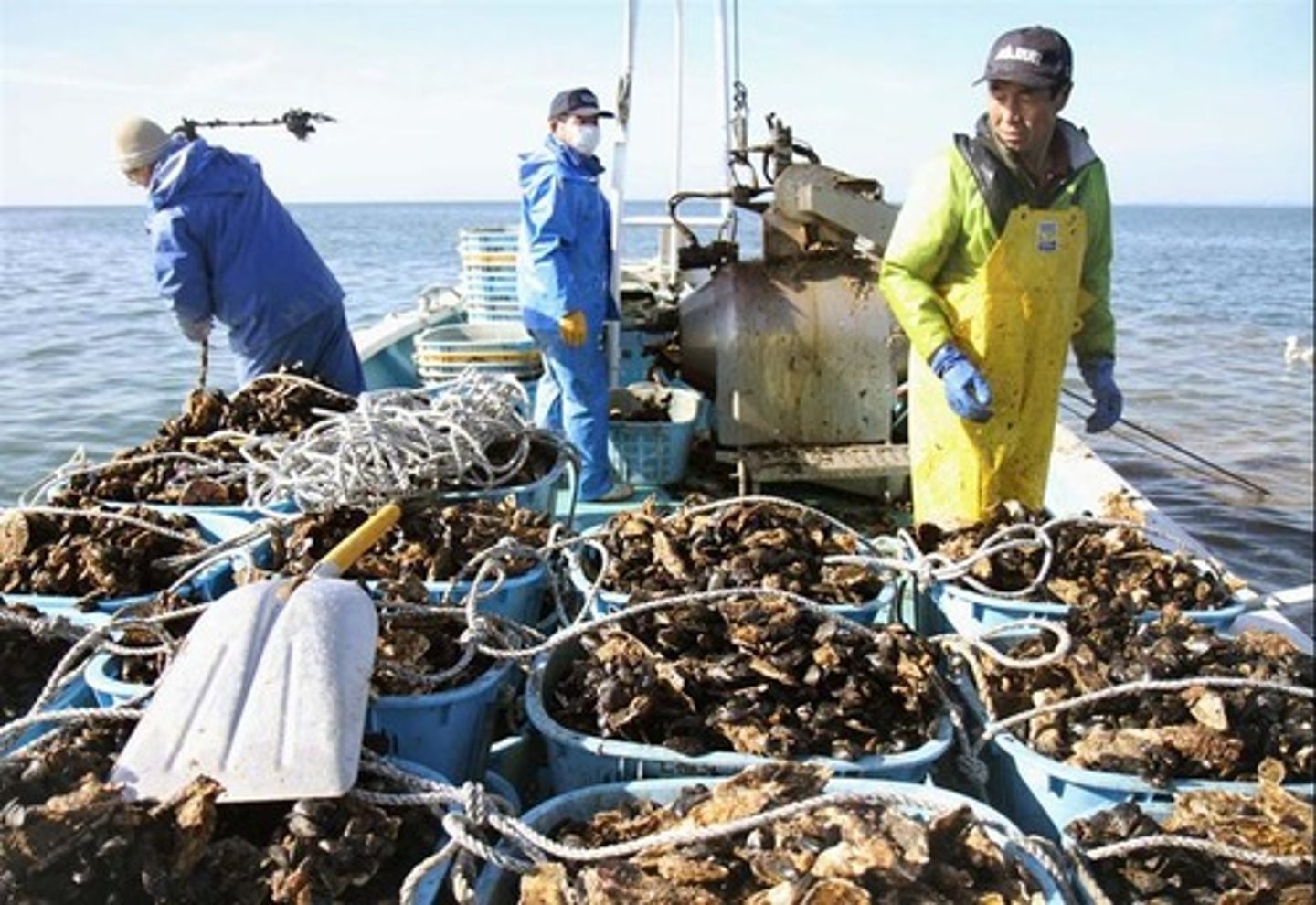 <p>su ürünleri</p><p>水産市場に行きます。</p><p>Suisan ichiba ni ikimasu.</p><p>Balık pazarına gidiyorum.</p><p>水産業に従事します。</p><p>Suisangyō ni jūji shimasu.</p><p>Su ürünleri sektöründe çalışıyorum.</p>