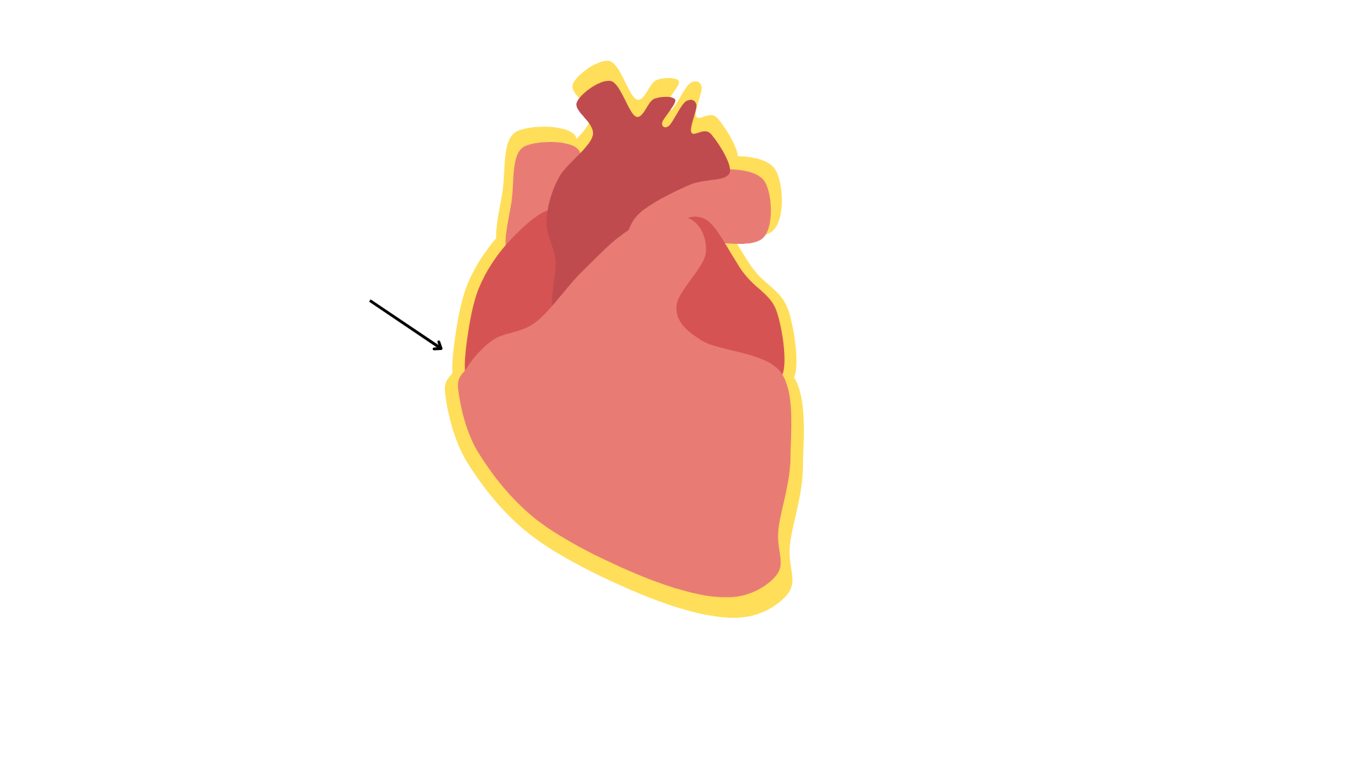 <p><strong>Heart</strong> is surrounded by</p>