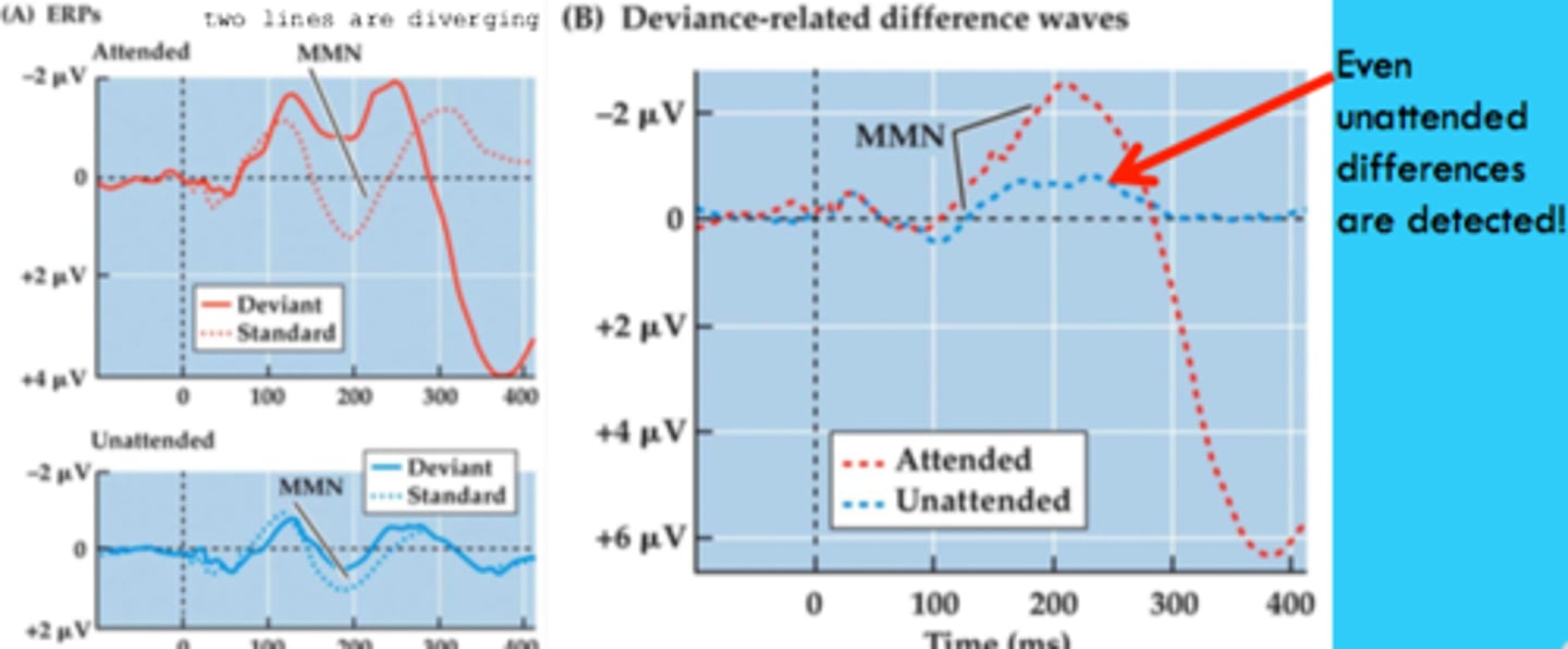 <p>person will say they did not remember the odd balls but the ERP's show that there is still a significant difference between the deviant and standard signals in the unattended ear.</p>