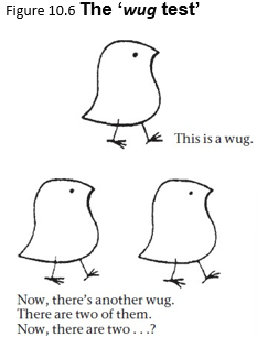 <p>Morphological Development</p><p><strong>____________: </strong><span><strong><span>Children may have to hear an irregular form up to 100 times before eliminating</span></strong><span> ___________. </span></span></p><p><span><span>(Hence, words with irregular inflection that occur more frequently (go/went, child/children) are learned quicker than less frequent words (sink/sank, ox/oxen).</span></span></p><ul><li><p><span><span>One of the best indications that children have mastered an inflectional rule is their ability to apply it to forms they have not heard before.</span></span></p></li></ul><p></p>