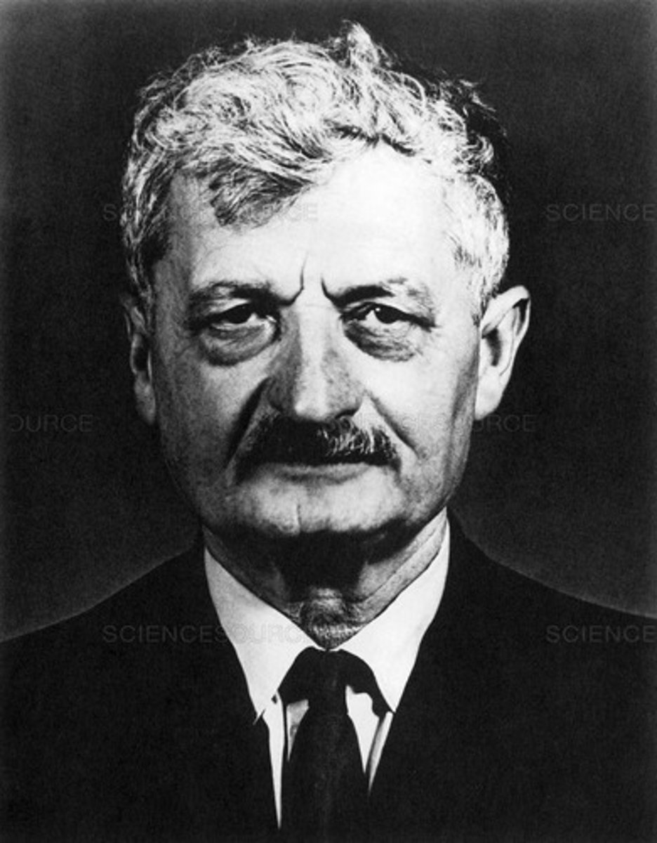 <p>space pioneer; wrote a book about rocket travel into outer space</p>