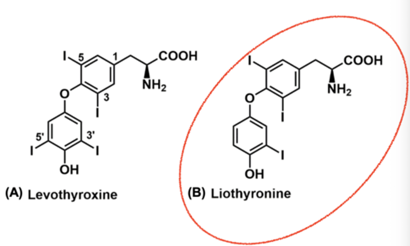<p>The more ionized one is water soluble so it cannot cross over as easily and bind - This is levothyroxine</p><p>Liothyronine is missing the one iodine so it is much less ionized and can more easily cross over and bind TBG - giving it a faster onset of action</p>
