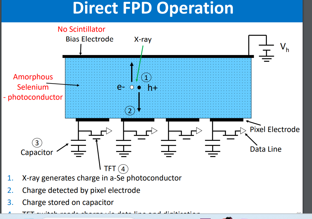 <ul><li><p>no Csi scintillator</p></li><li><p>a-se used instead</p></li><li><p>added capacitors</p></li><li><p>mainly for low energy applications i.e mamography</p></li></ul><p></p><ul><li><p>x-ray generates charge in a-se photoconductor</p></li><li><p>charge detected by pixel electrode</p></li><li><p>charge stored by capacitor</p></li><li><p>TFT switch reads charge via data line and its digitised</p></li></ul><p></p>