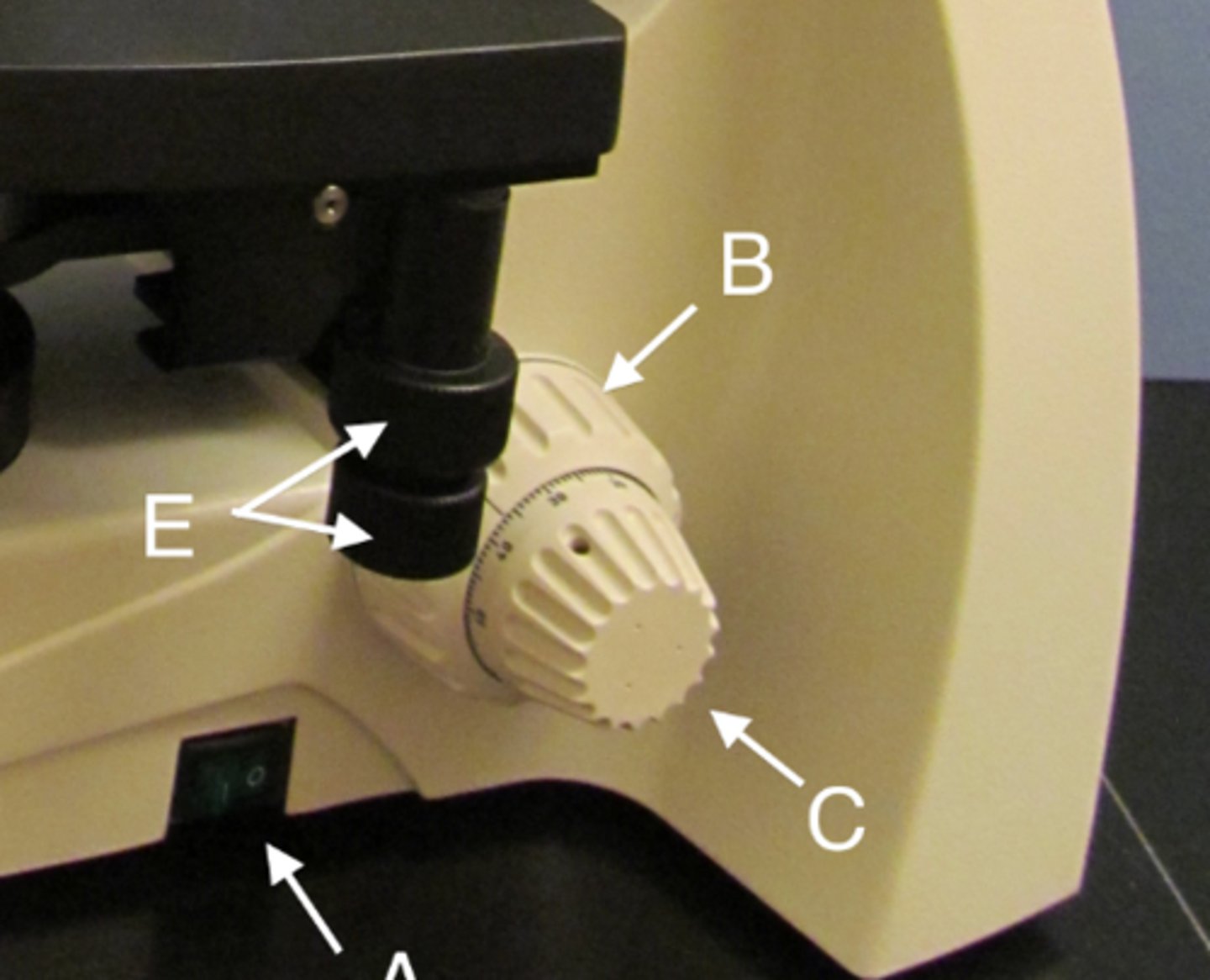 <p>C</p>