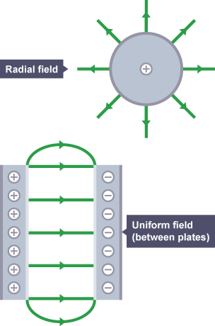 <p>Radial field - The closer the field lines the stronger the field, the greater the force.</p><p>Uniform Field - Parallel lines with a constant gap.</p>