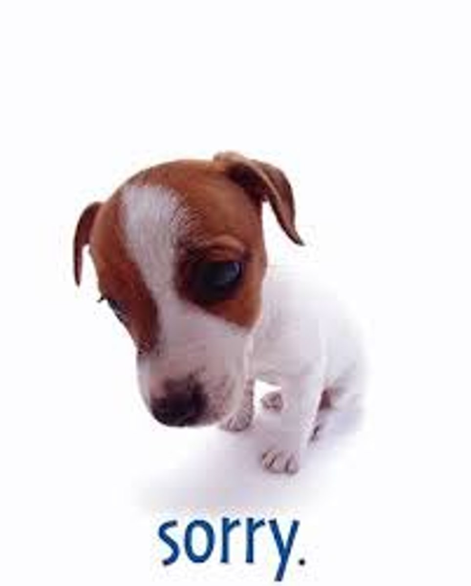 <p>jammer vinden</p>