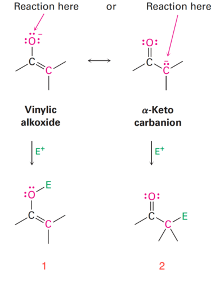 <p>What do enolate ions yield when reaction takes place on the carbon of the electrophile?</p>