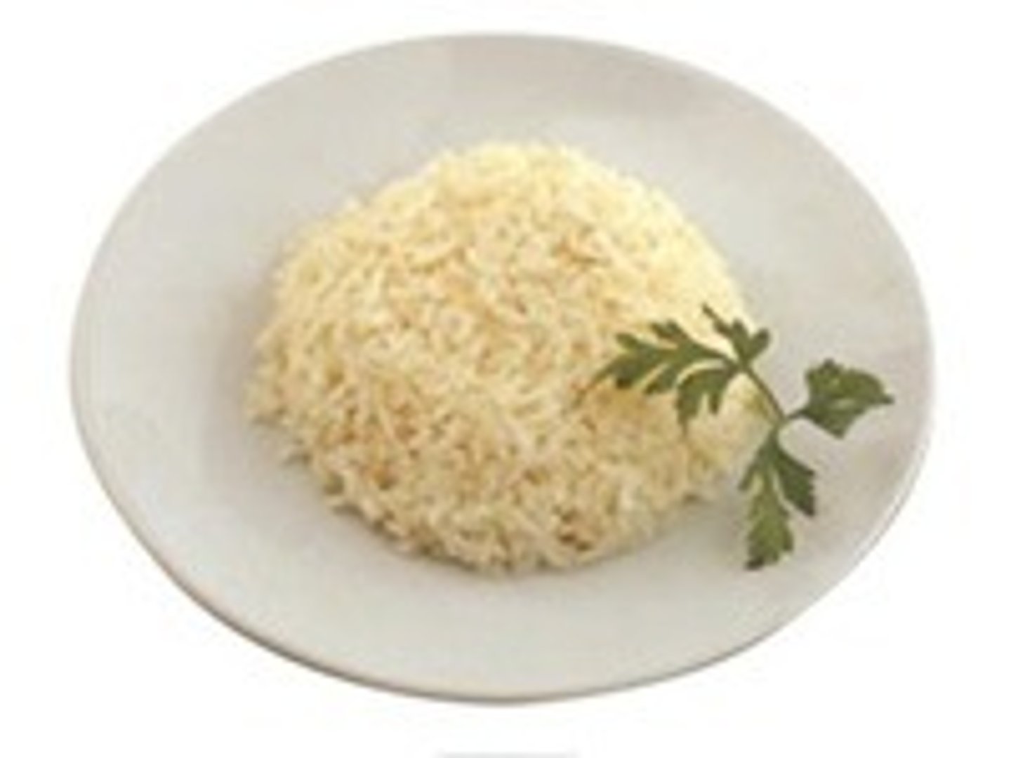 <p>rice</p>