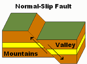 <p>fault</p>