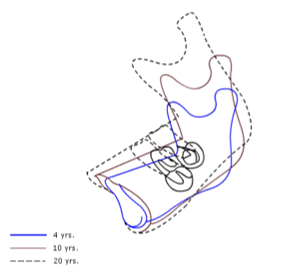 <p>in what manner does the mandible grow </p>