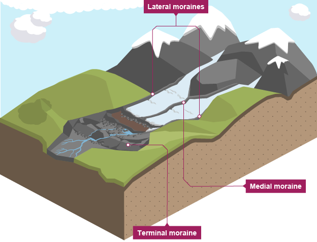 <p>Lateral moraines - A long mound of material deposited where the side of a glacier was</p><p>Medial moraines - Formed where two glaciers meet, creating a ridge of debris in the centre.</p><p>Terminal moraines - A ridge of debris at the furthest advance of a glacier, that builds up at the snout</p><p>Ground moraines - A blanket of till deposited as a glacier retreats, covering the land beneath</p>