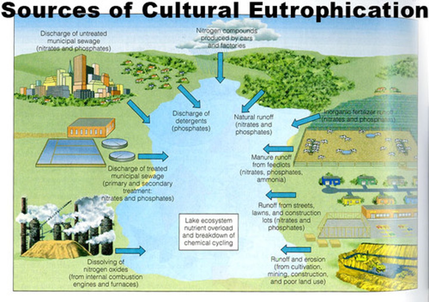 <p>An increase in fertility in a body of water, the result of anthropogenic inputs of nutrients</p>