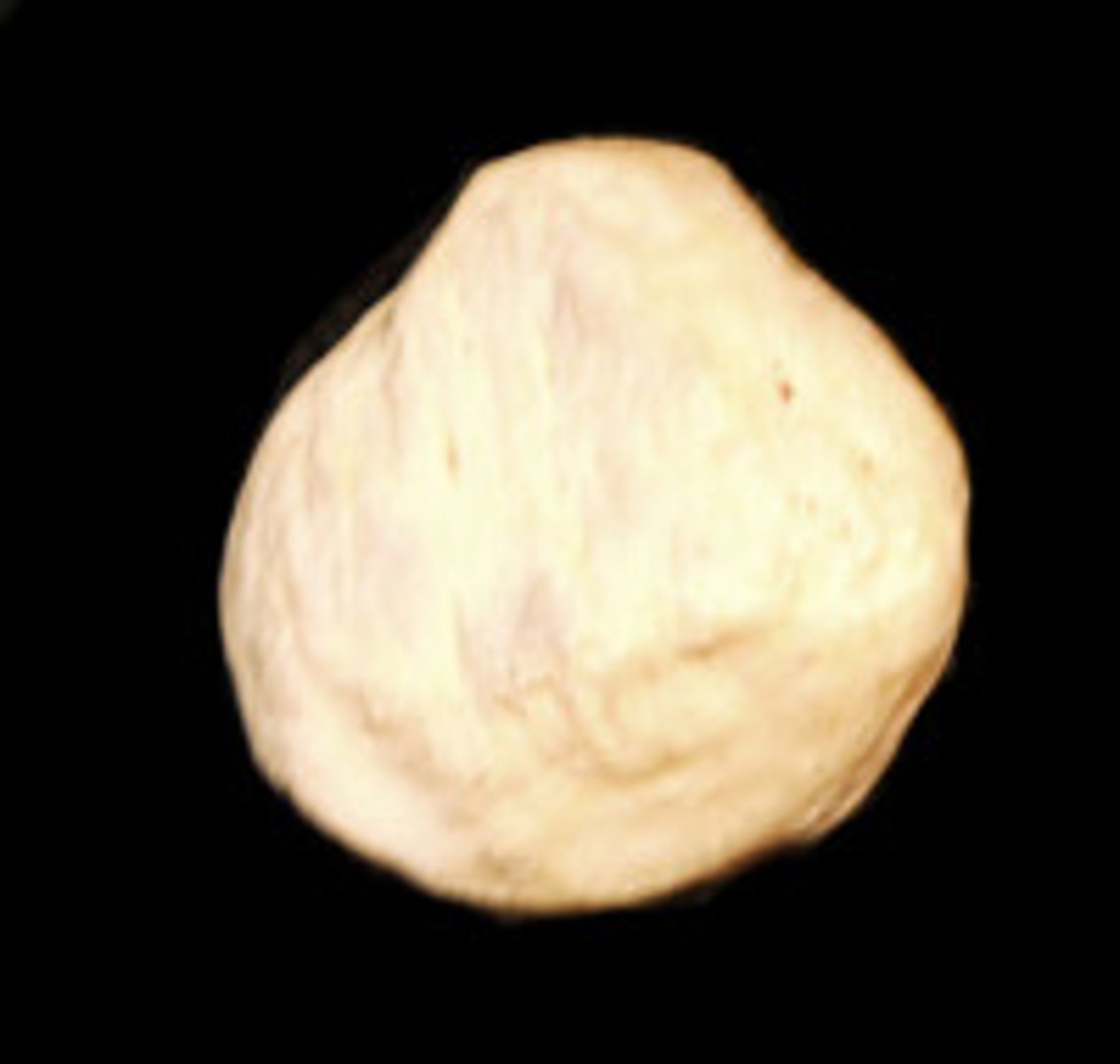 <p>ID bone</p>