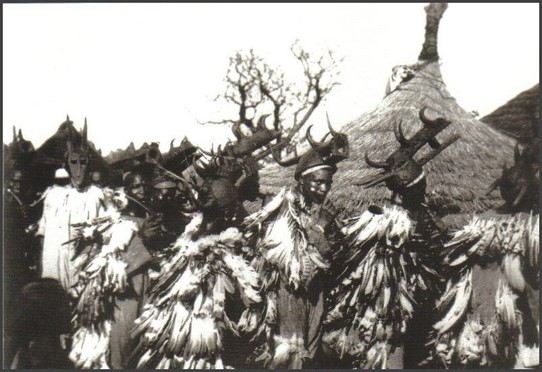 term image