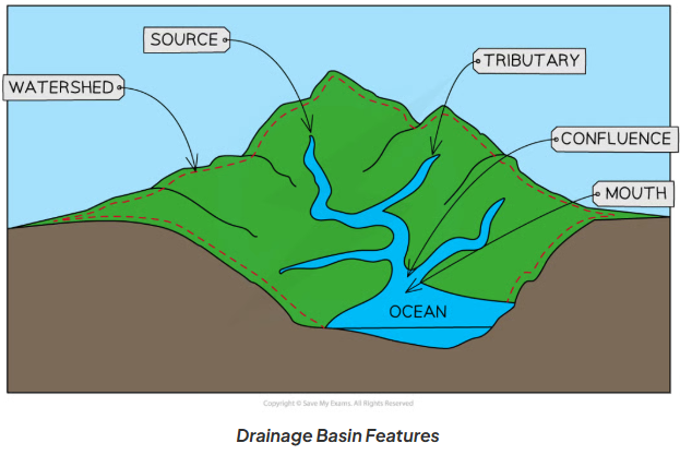 <ol><li><p><strong>watershed</strong></p></li><li><p><strong>source</strong></p></li><li><p><strong>confluence</strong></p></li><li><p><strong>tributary</strong></p></li><li><p><strong>mouth</strong></p></li></ol><p></p>
