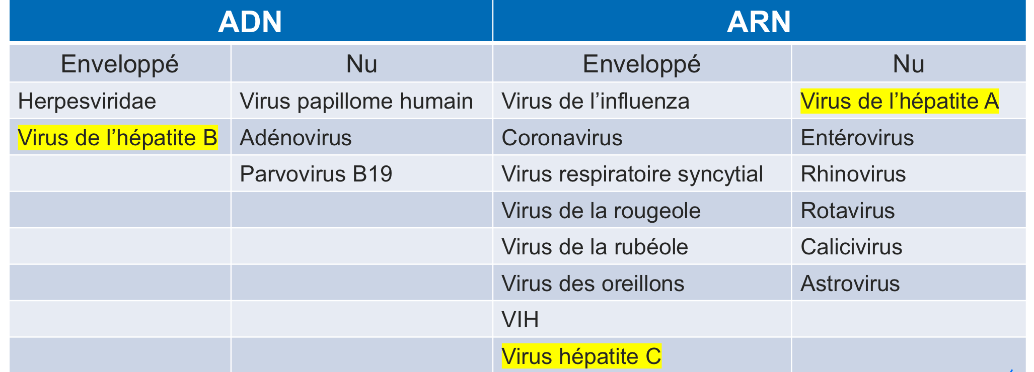<p>ps. on remarque qu’il y a une majorité de virus ARN, ce sont eux qui sont responsables de toutes les grosses pandémies </p>