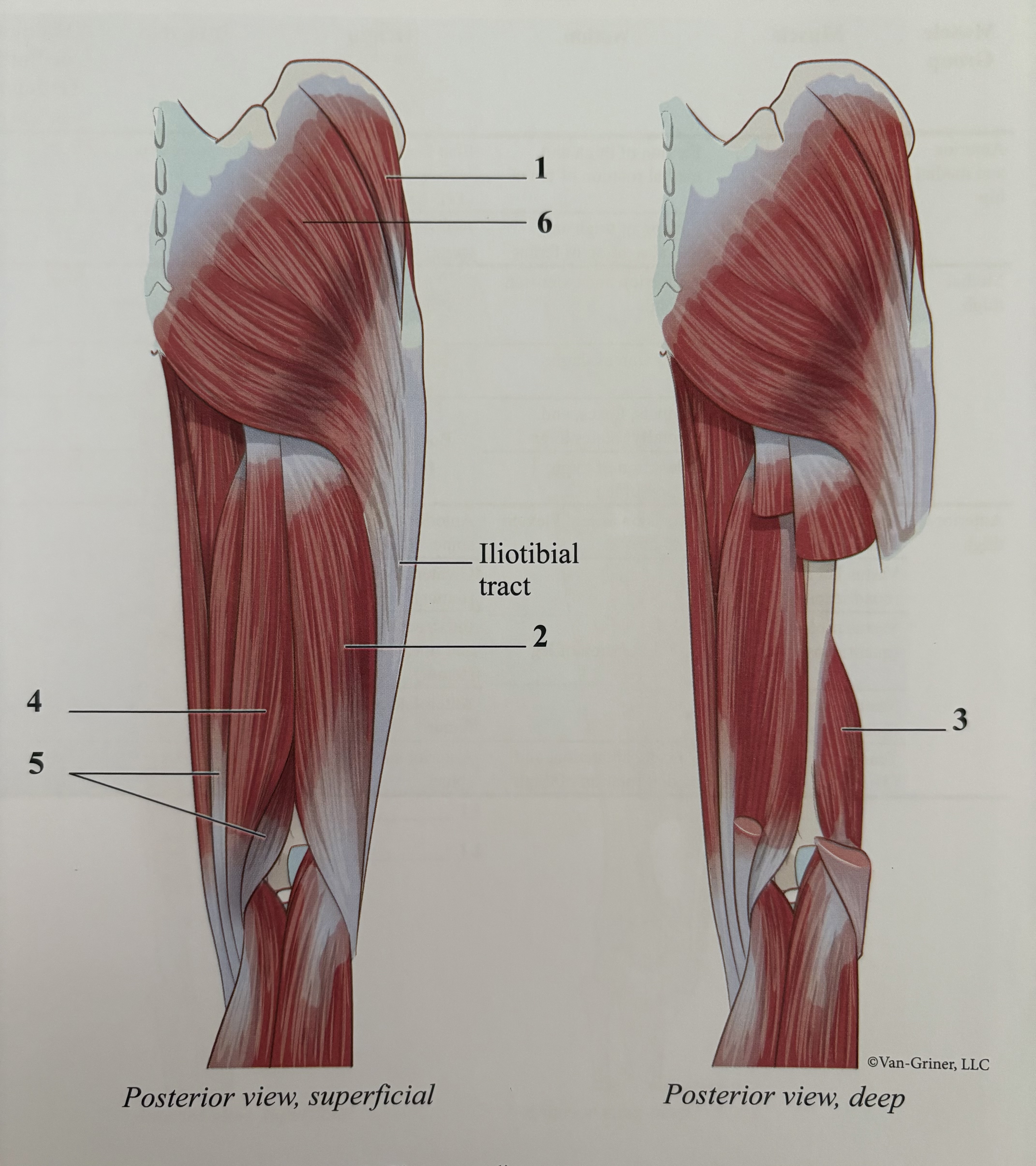 <p>2&amp;3</p>