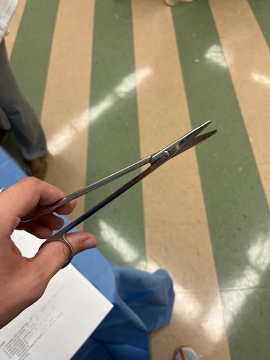 <p>used in cardiovascular surgeries; cuts fine tissue in small spaces. Long and skinny</p>