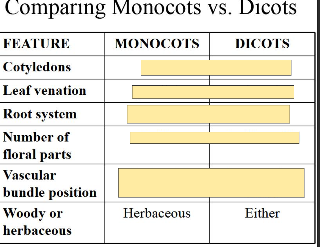 <p>M- Herbaceous <br>D- Either</p>