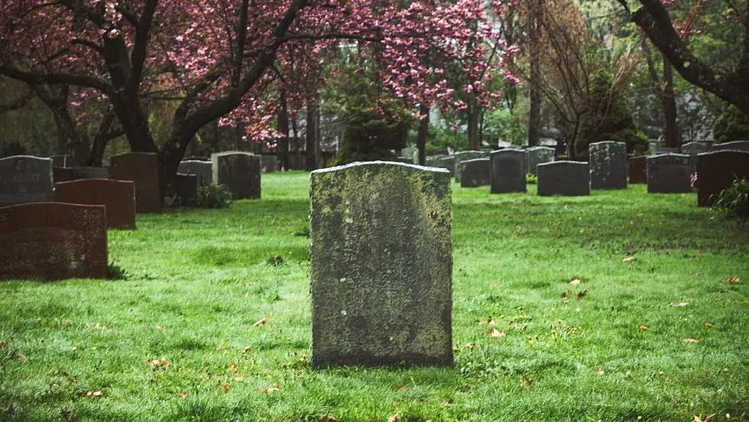 <p><span><span>a place for the burial of a corpse</span></span></p>