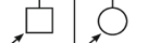 <p>What do these symbols indicate?</p>