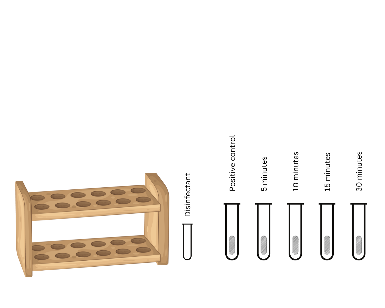 <p>Purpose of Durham’s fermentation tube in the culture medium</p>