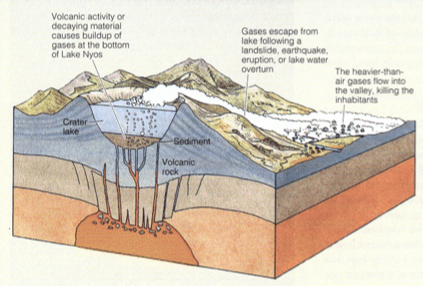 <ul><li><p>Slow release by dormant volcano → bottom of lake in crater suddenly overturned and released CO2 which is heavy and hugged the ground suffocating</p></li></ul><p>Limnic eruption in 1896 **</p>
