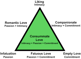 Triangular theory of Love and Attraction