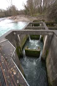 <p><span>two vertical slots between each pair of pools, typically spaced symmetrically.&nbsp;</span></p><p><span>The flow is split between two slots, potentially resulting in lower flow velocities and a more gentle transition between pools</span></p><p><span>The dual slots may create more diverse flow conditions, allowing for a greater range of fish behaviors</span></p>