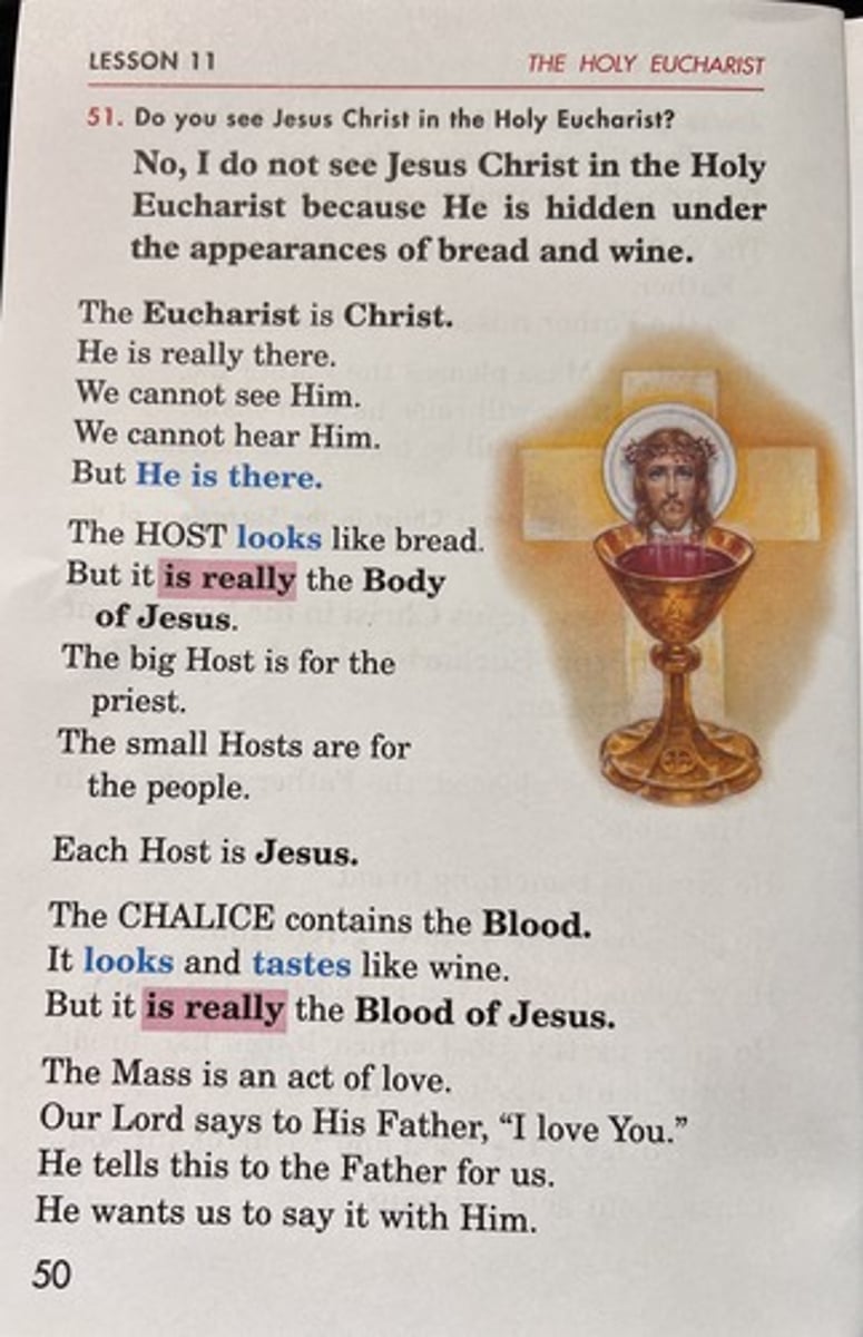 <p>priest will ask God to let the benefits of the Eucharist to remain active as we leave mass.</p>