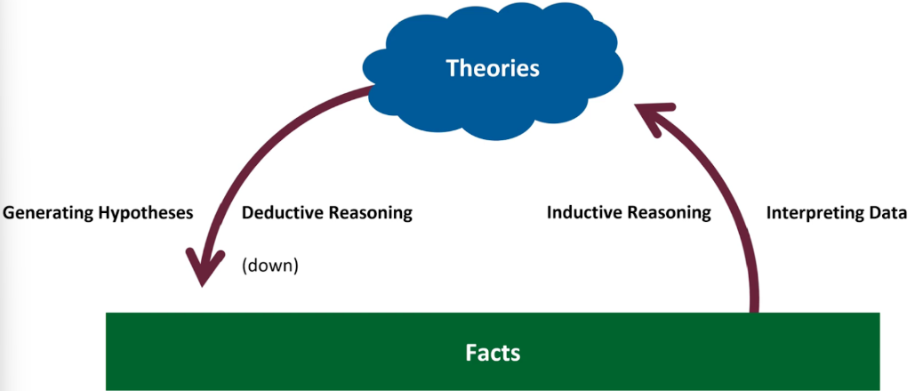 <p>Model that guides scientific method</p><ul><li><p>Deductive Reasoning</p></li><li><p>Inductive Reasoning</p></li></ul><p></p>