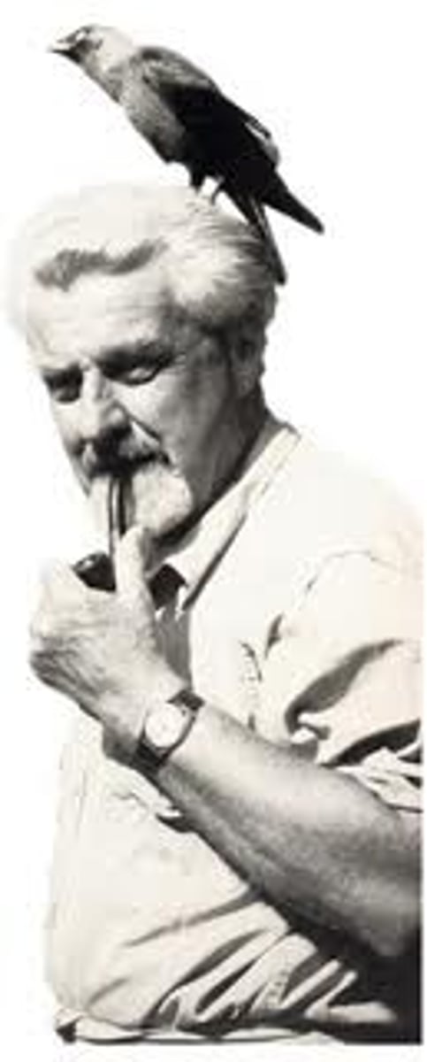 <p>researcher who focused on critical attachment periods in baby birds, a concept he called imprinting</p>