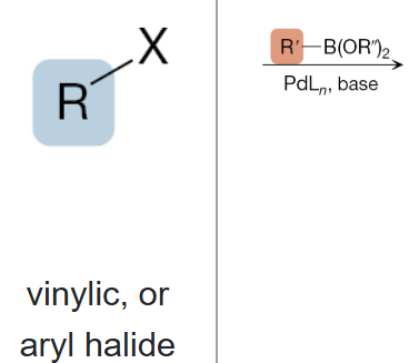 <p>What is the product of the reaction between a vinylic or aryl halide, and R’-B(OR'“)2 (1st step), and PdLn, base (2nd step)?</p>