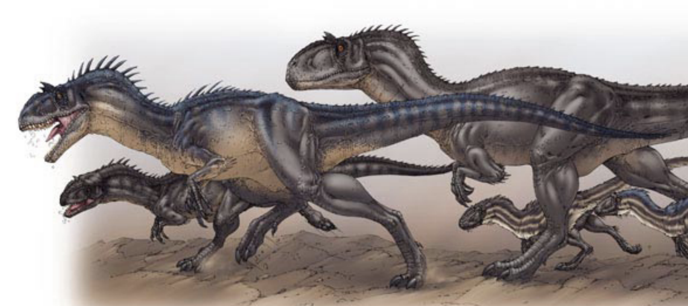 <p>Theropod Saurischian dinosaur</p>