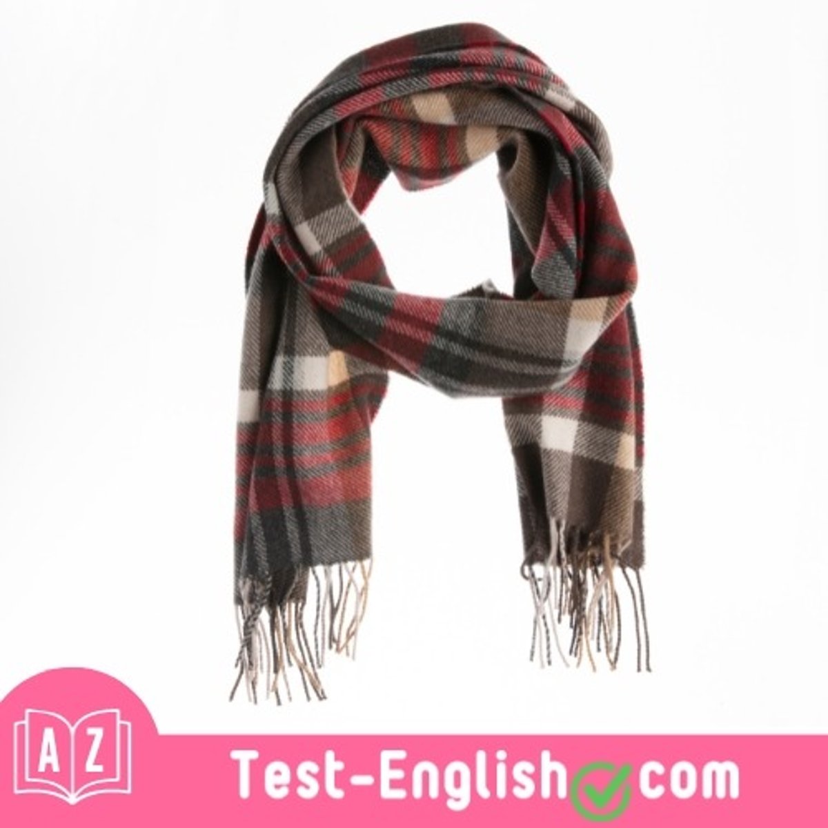 <p>He wears a _____ to protect his neck from the cold.</p>