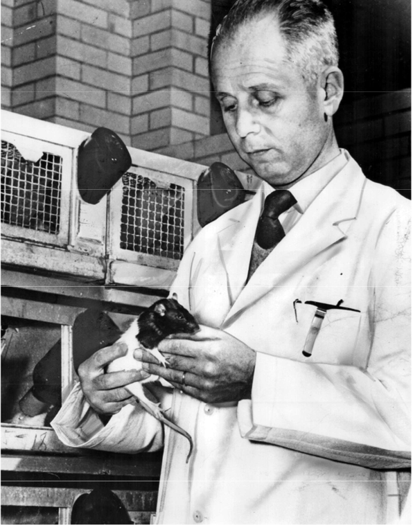 <p>Three-stage reaction to stress</p><ul><li><p>Include alarm, adaptation (resistance), and exhaustion stages</p></li><li><p>Proposed by Hans Selye</p><ul><li><p>Considered the founder of modern stress research</p></li><li><p>Believed that exhaustion phase was due to termination of the stress response but currently it’s believed that the exhaustion stage is the result of prolonged exposure to stress hormones</p></li></ul></li></ul><p></p>