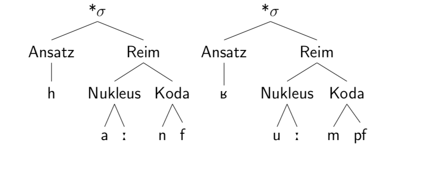 <p>Komplexe Koda</p>