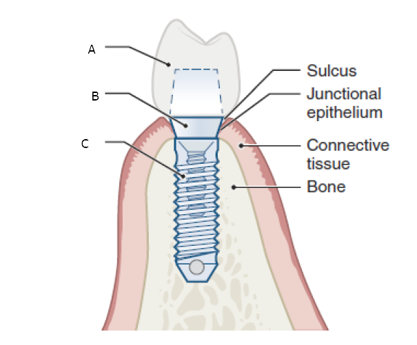 <p>Label the picture correctly</p>