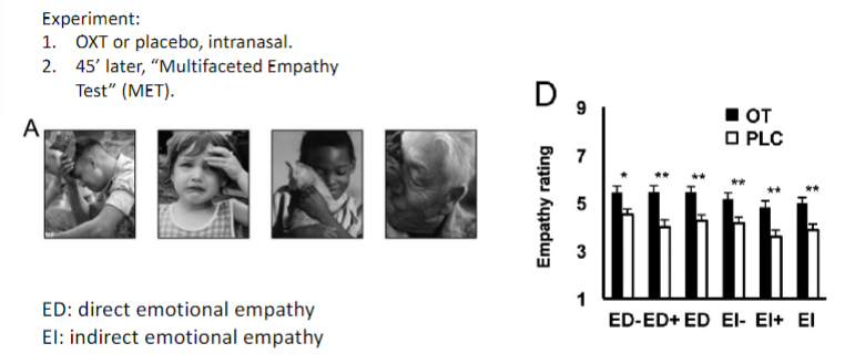 <ul><li><p>OXT administration increased empathy ratings in all dimensions</p></li></ul>