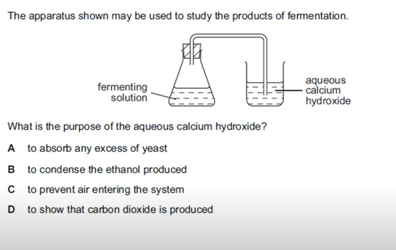 <p>WHAT IS THE ANSWER FOR THIS QUESTION </p>