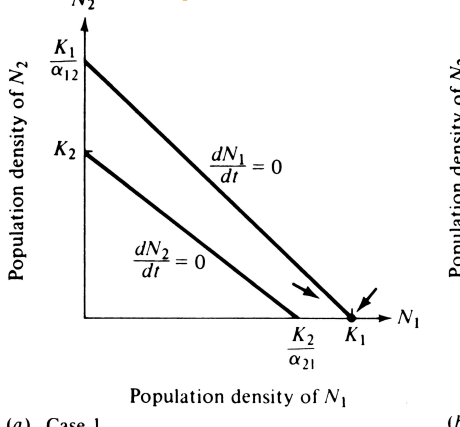 <p>What is the outcome of this phase plot?</p>