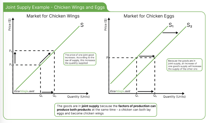 <ul><li><p>joint supply: when the production of one good automatically aids the production of another good (e.g. chicken breasts and chicken eggs)</p></li><li><p>competitive supply: when the production of one good competes with the production of another good. (e.g. if you are a fruit farmer you can have apple trees or orange trees- they compete against each other, more apples=less oranges)</p></li></ul><p></p>