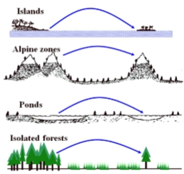 <ol><li><p>alpine zones (mountain tops)</p></li><li><p>ponds</p></li><li><p>isolated forests</p></li></ol><p></p>