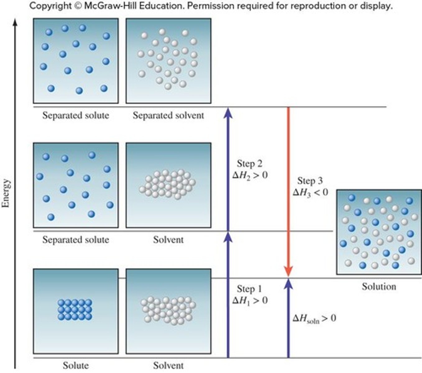 <p>The process is exothermic, meaning the energy given off in mixing is greater than the energy required to separate solute and solvent.</p>