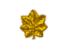 <p>Gold Oak Leaf</p>